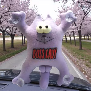 Cat in the car on suction cups