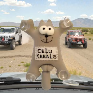 Cat in the car on suction cups