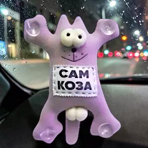 Kaķis automašīnā uz piesūcekņiem