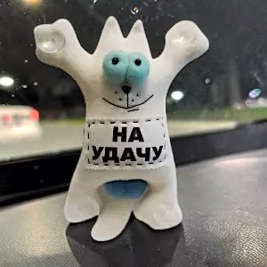 Kaķis automašīnā uz piesūcekņiem