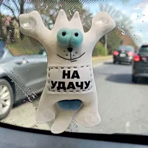 Cat in the car on suction cups — image 2