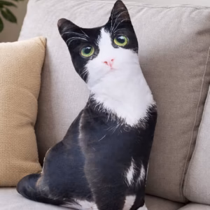 Realistic cat pillow 50 cm