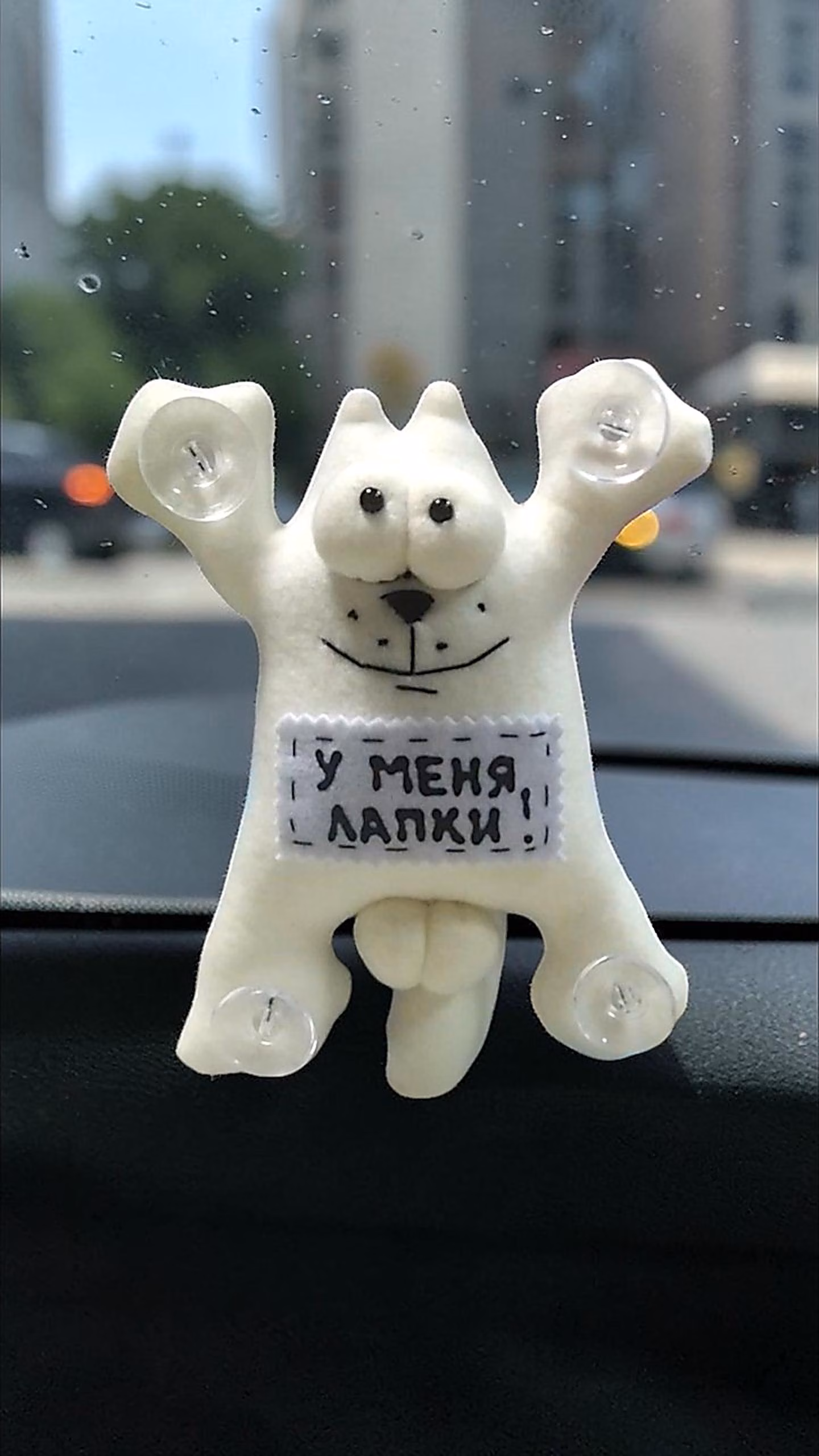 Kaķis automašīnā uz piesūcekņiem